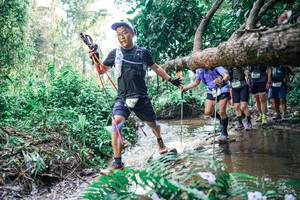 BIB: 
                            <button type="button" onclick="openModal(25458129)" class="btn btn-primary btn-sm float-right btn-popup" data-toggle="modal" data-target=".modal-high-quality">
                        <i class="fas fa-shopping-cart"></i> Add to Cart
                    </button>
                                            <button type="button" onclick="isThisMe(25458129, true)" class="btn btn-success btn-sm float-right btn-popup btn-isme hidden" data-toggle="tooltip" data-placement="bottom" title="นี่คือรูปของคุณใช่ไหม คลิกที่นี่เพื่อเอาเข้าอัลบั้ม">
                        <i class="fas fa-plus"></i> Add to album
                    </button>
                    <button type="button" onclick="isThisMe(25458129, false)" class="btn btn-warning btn-sm float-right btn-popup btn-isnotme hidden">
                        <i class="fas fa-ban"></i> Remove from album
                    </button>